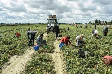La Regione Puglia premiata dall'Ue per i vaccini ai lavoratori migranti 