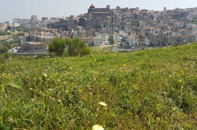 Vico del Gargano è tra i 5 borghi più belli d’Italia, il primo di tutto il Sud