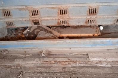 Bari, topi e ruggine al mercato di Santa Scolastica: è allarme