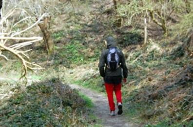 Cadono in un burrone sul Monte Cervati, salvi tre escursionisti baresi