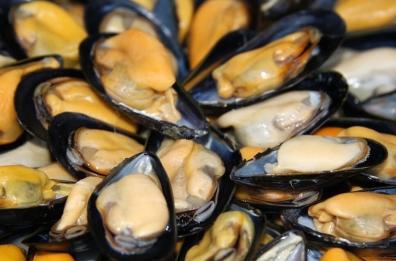 La cozza nera di Taranto nella campagna «Food heroes» di Slow Food 
