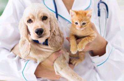 I farmaci per Fido o Micio? Costano sempre troppo