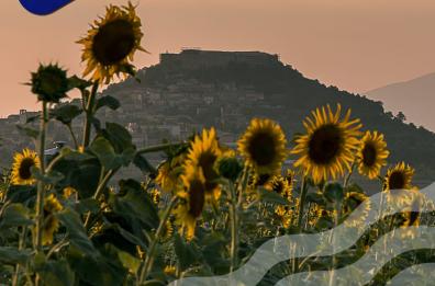 A Lagopesole si fa impresa tra i fiori