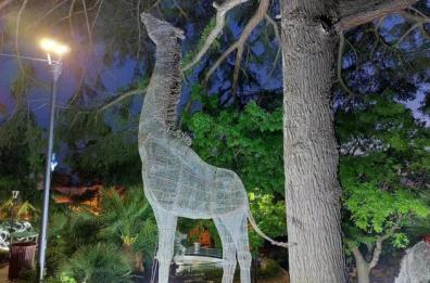 Nel centro di Conversano c'è uno zoo luminoso: ecco il Lumen Spring Fest