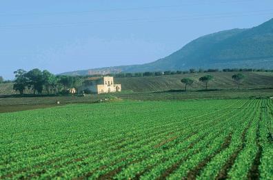Basilicata, bando da 36 milioni per sviluppo aziende agricole