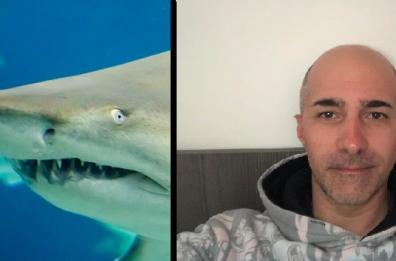 Castellaneta,  kayakista attaccato in mare da uno squalo toro di 3 metri: «Sono vivo per miracolo»