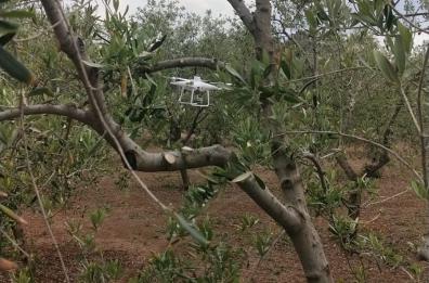 Coldiretti Puglia, rivoluzione digitale con droni nell'agricoltura