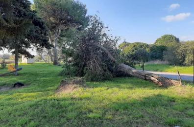 Lecce, «il parco di Frigole nell'abbandono». Le proteste arrivano in Comune