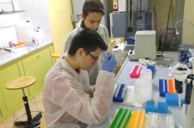 Foggia, piccoli ricercatori crescono: Scienze biomediche si studiano alle Medie 