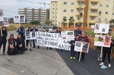 Molfetta, sit-in di protesta contro lo sfruttamento degli animali negli spettacoli del circo