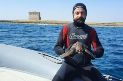 Torre Guaceto, salvata tartaruga con un amo in bocca