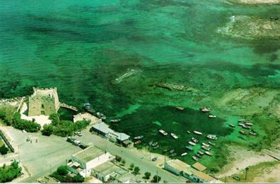 Nel mare brindisino, trovati i reperti di antichi traffici di olio e vino