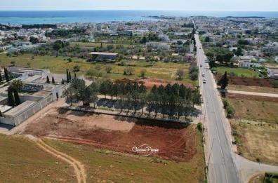Porto Cesareo, trecento posti auto prima dell'estate: iniziati i lavori