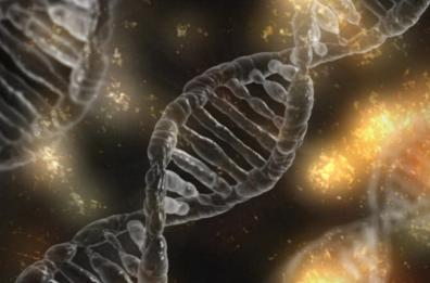 Puglia, l'allarme di Schittulli: «Il cancro come il Covid, nel 2021 morti 500 malati oncologici al giorno»