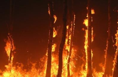 Incendi, riunione a Potenza: sollecitata intesa Regione-Vigili del Fuoco