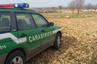 Autolavaggi non autorizzati o che smaltiscono illecitamente rifiuti: sequestri nel Barese