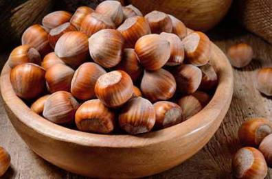 Patto agricoltura lucana-Nutella: pollai mobili per nocciole migliori