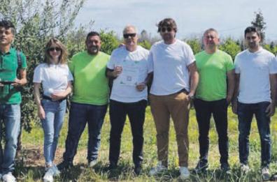 «Adottare» un ulivo contro la Xylella: l'idea a Carpignano