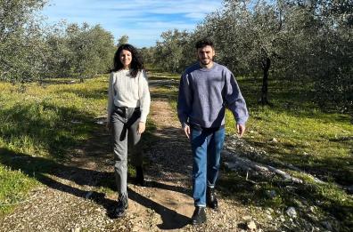 Andria, un amaro dalle foglie di ulivo: torna in vita la ricetta di 100 anni fa