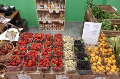«Giornata mondiale della biodiversità»  a Bari e Lecce