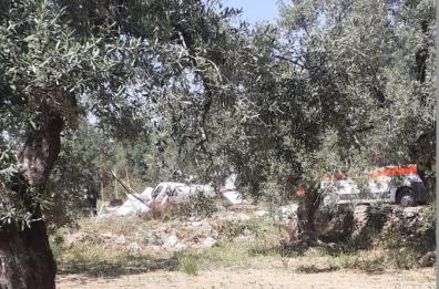 Tragedia ultraleggeri a Trani, il superstite rievoca le fasi della caduta 