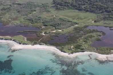 Su Tiqets i biglietti per visitare l'oasi Wwf di "Le Cesine" in Puglia