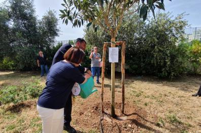 Strage di Capaci, Bari ricorda il sacrificio dell'agente Dicillo. Le iniziative in Puglia