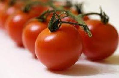 Cnr di Lecce, ecco il pomodoro biofortificato: contro la carenza di Vitamina D