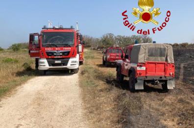 Lecce,  le fiamme lambiscono il parco naturale del Rauccio