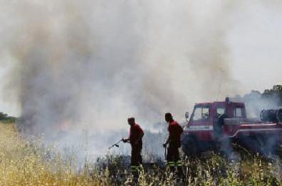 Emergenza incendi in tutta la Puglia, Vigili del Fuoco in agitazione: «Serve più personale»
