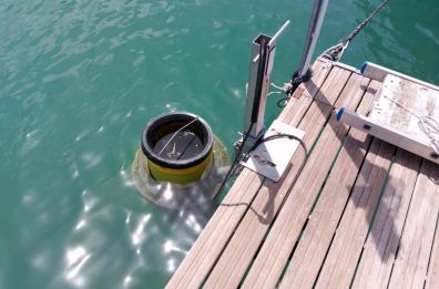 Nel porto di Bisceglie arriva «Seabin», il divoratore di plastica