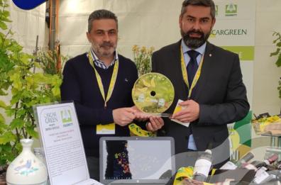I vigneti dell'Aglianico osservati dall'alto