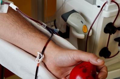Bari, il Policlinico invita i cittadini a donare il sangue prima dell'estate: «Ne servono 40 al giorno»