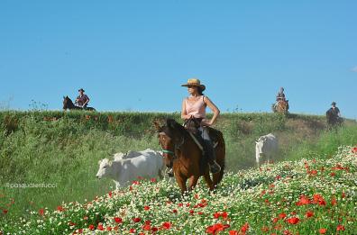 Carmelina la mandriana: «A cavallo per difendere i tratturi e la transumanza» 