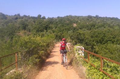 Foggia, mobilità ciclistica provinciale: finanziamenti per 22 milioni