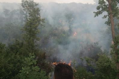Incendio sterpaglie nella Bat: “Troppe segnalazioni ai Vigili del Fuoco, i Comuni si attivino”