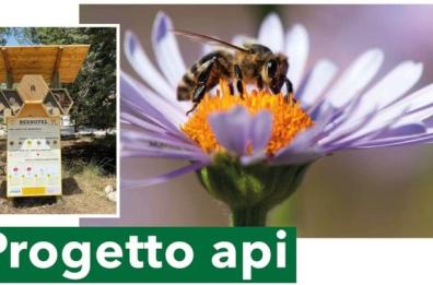 Per «Ogni ape conta», arriva il beehotel anche ad Andria
