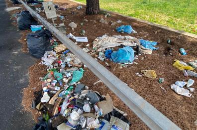 Benvenuti sulla Statale 16, la strada del pattume e dell'inciviltà