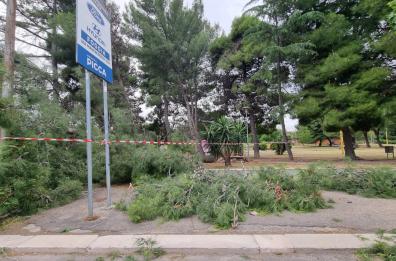 Foggia, alberi sbrancati dal forte vento al parco San Felice