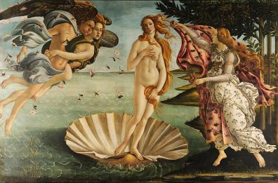 La Venere di Botticelli, quella nella «cozza»