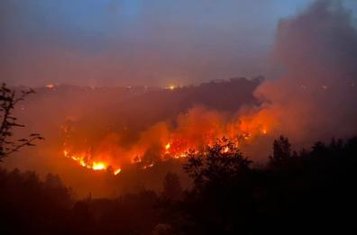 Le pinete a fuoco: una ferita aperta