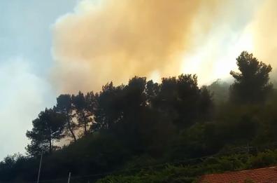 Incendio tra Taggia e Badalucco: fumo sulla A10