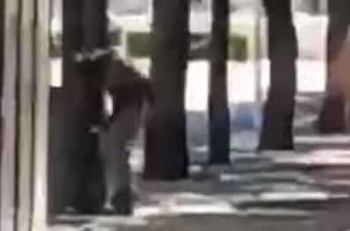 Gesto folle a Serracapriola, vicesindaco aggredito nel tentativo di placare l'ira di un uomo