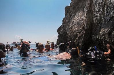 Isole Tremiti, tutto pronto per il Posidonia Festival, tra natura e salvaguardia dell'ambiente