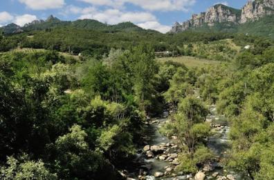 Gallipoli Cognato, il parco paralizzato delle Dolomiti Lucane

