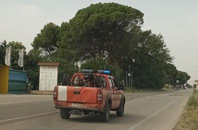 Prende fuoco un'auto di vacanzieri in Puglia, salvi i 4 a bordo