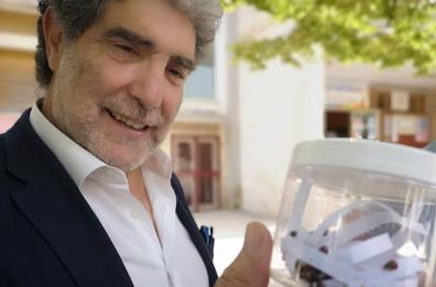 Ruvo, il Comune «arruola» le coccinelle contro i parassiti delle piante