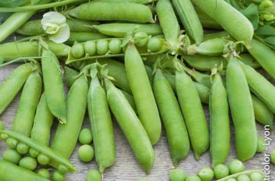 Piselli: proprietà del legume leggero dell'estate