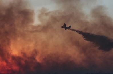 Incendi boschivi, il «gotha» internazionale degli esperti in Puglia