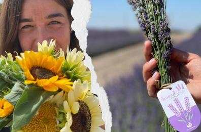 Girasoli e lavanda di Puglia per tornare a casa «migliori»